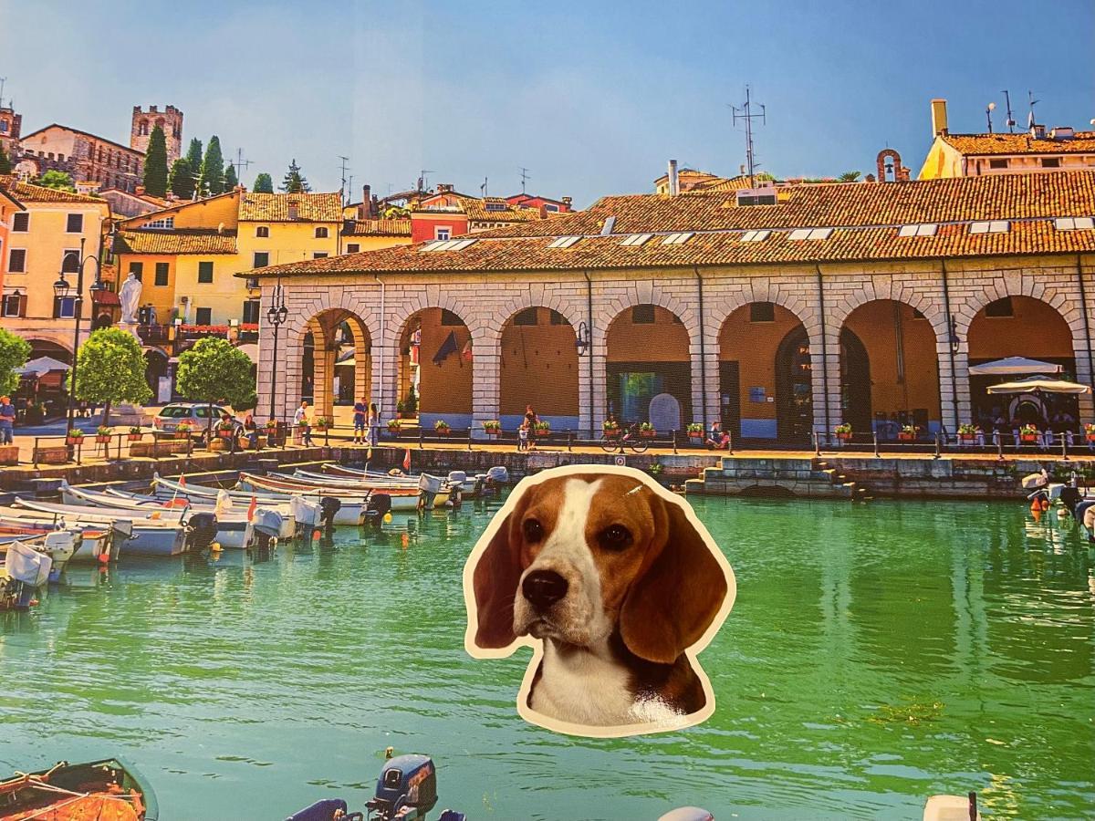 Desenzanoloft Le Petit Bijou Desenzano * Desenzano del Garda